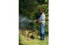 Utiliser un pulvérisateur de jardin pour appliquer du vinaigre sur les mauvaises herbes.