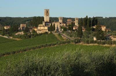 Oliviers dans la région de Badia a Passignano, Italie Toscane