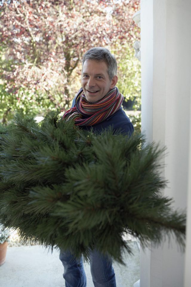 Homme transportant l'arbre de Noël dans la maison