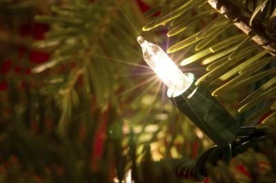 Mini-ampoule de lumière sur l'arbre de Noël